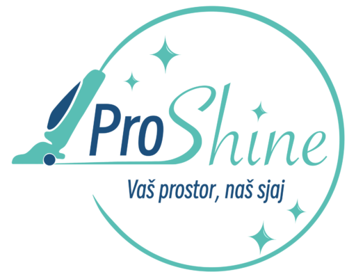 proshinecleaning.pro